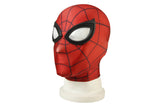 Spiderman PS4 Peter Parker Undies Suit