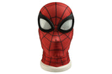 Marvel's Spiderman PS4 Jumpsuit Cosplay Costume